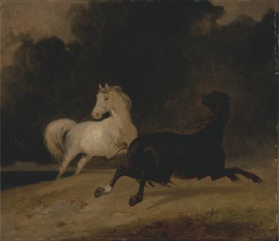 Cavalli in un temporale da Thomas Woodward